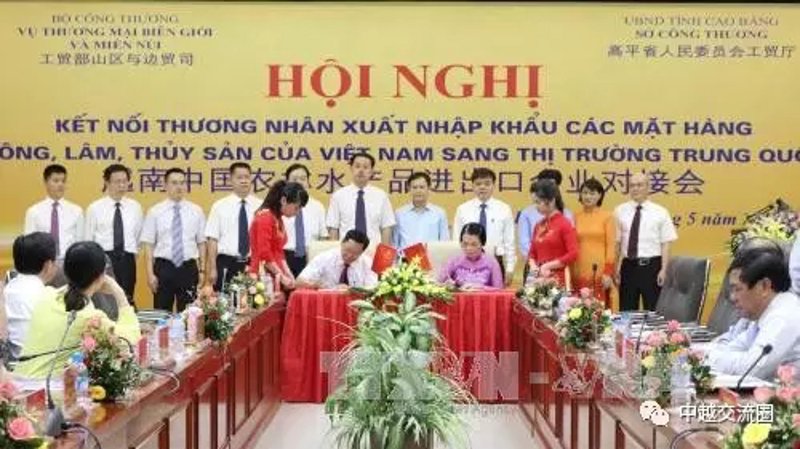 广西报关行业的最新动态与机遇